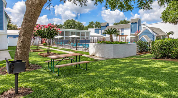A tree with a mailbox stands in a grassy area with a picnic table and a pool in the background.