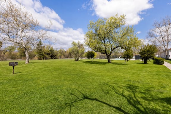 A green field with trees and a sign in the distance.