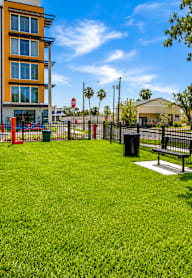 A tree is planted in a small garden in front of a fence.