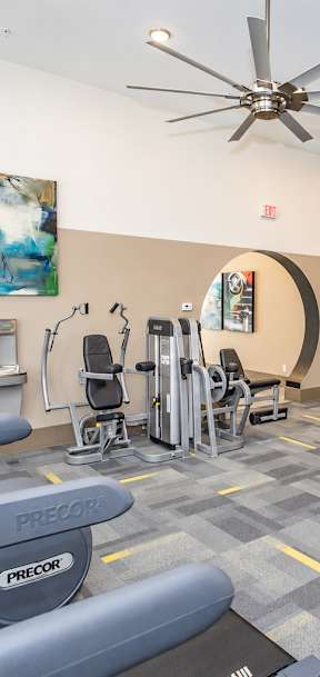 A gym with a variety of equipment including treadmills, weights, and exercise machines.