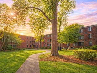 A tree stands in front of a building with a walkway in between.
