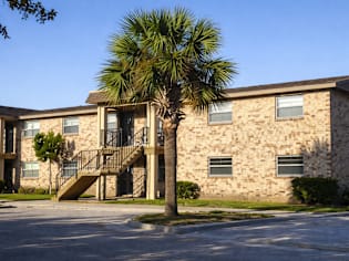 A building with a palm tree in front of it.