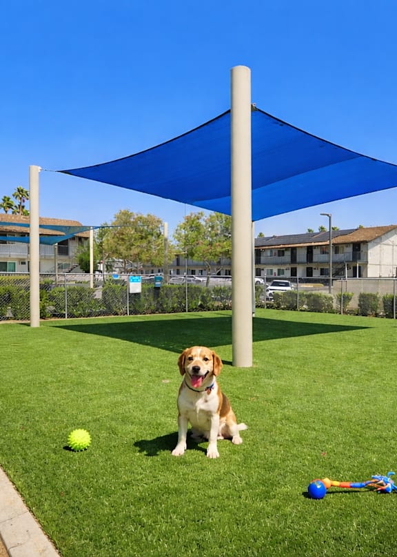 A blue shade structure is over a green area.