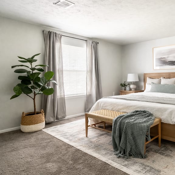 A bedroom with a large bed, a nightstand, and a plant.