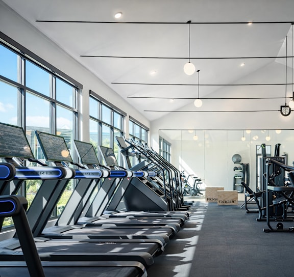 A gym with treadmills and weights.
