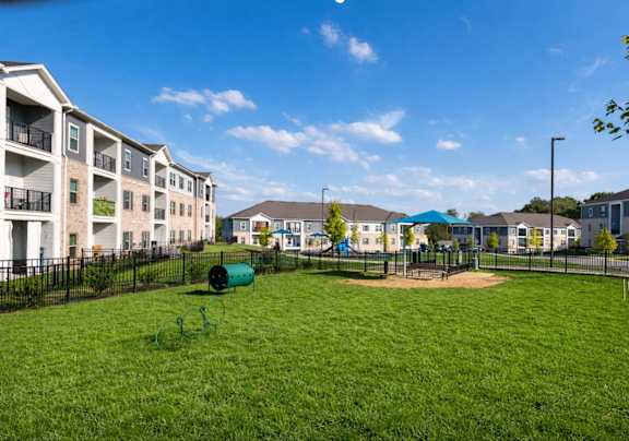 dog friendly mt. juliet apartment with dog park