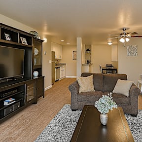 A living room with a brown couch and a television.