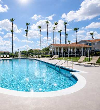 A large outdoor swimming pool surrounded by palm trees and lounge chairs.