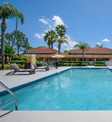 A swimming pool surrounded by palm trees and lounge chairs.