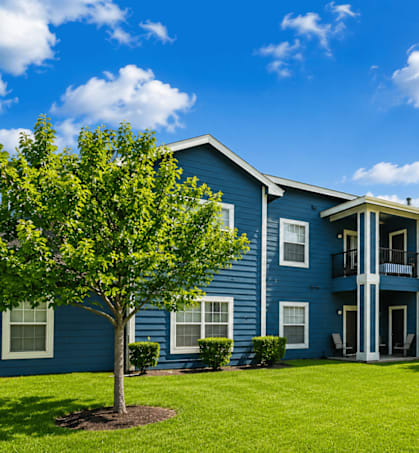 A blue building with a tree in front of it.