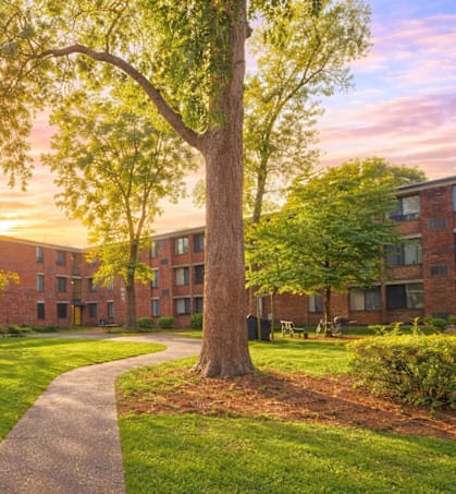 A tree stands in front of a building with a walkway in between.