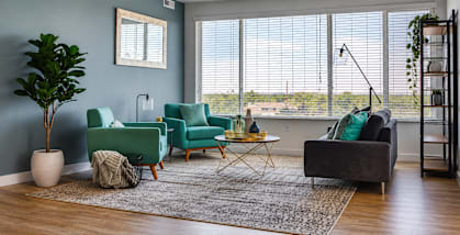 A living room with a grey couch, a green chair, a potted plant, and a rug.