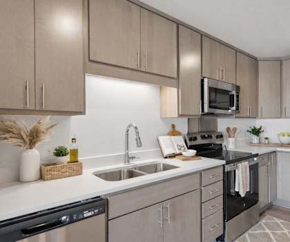 A modern kitchen with a black dishwasher and stove top.