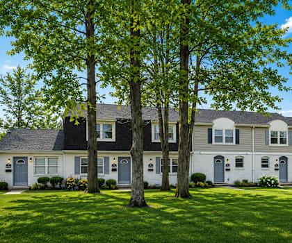 A row of houses with trees in front.