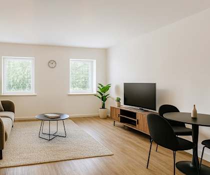 A living room with a couch, a coffee table, a television, and two potted plants.