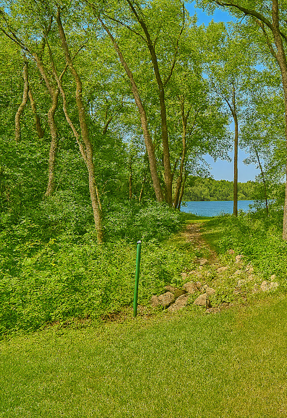 A green grassy area with trees and a body of water in the distance.
