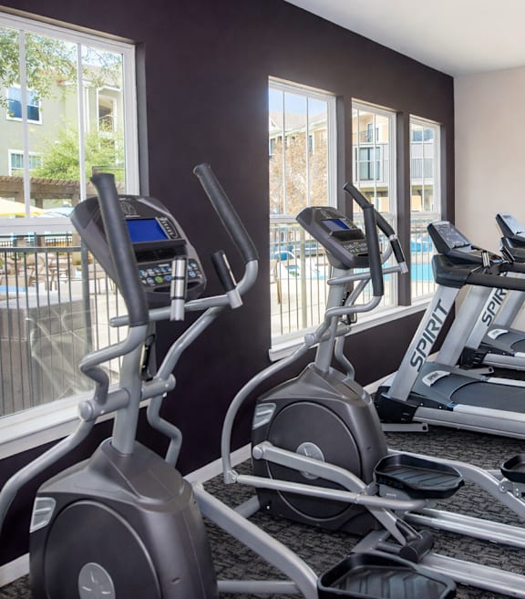 A gym with a punching bag and weightlifting equipment.
