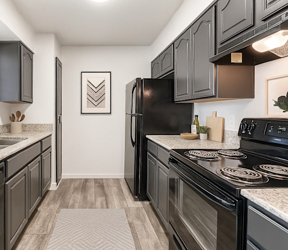 A kitchen with black cabinets and appliances.
