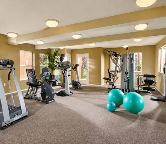 A gym with treadmills, weights, and exercise balls.