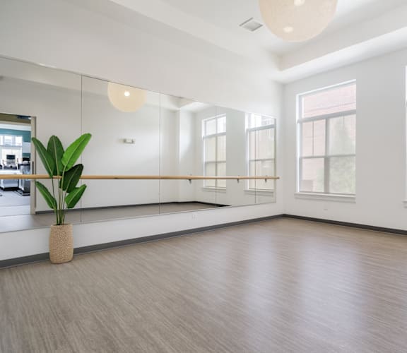 A large empty room with a plant in a pot.