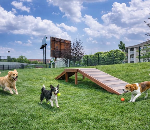 Three dogs playing with a ball in a yard.