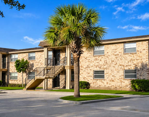 A stone building with a palm tree in front.
