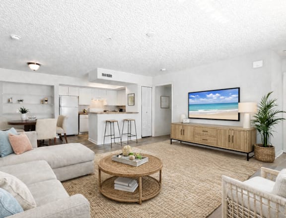 A living room with a sofa, a coffee table, and a television.