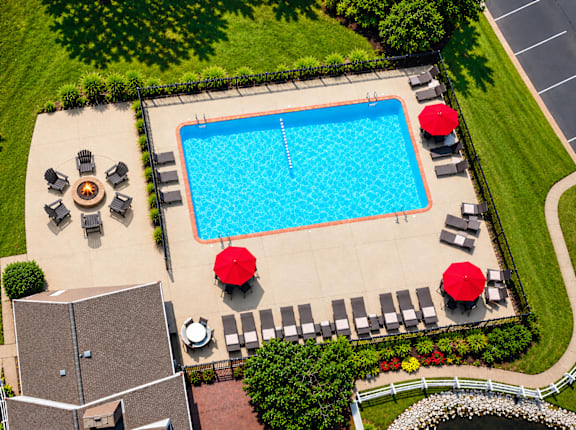 A pool surrounded by chairs and umbrellas.