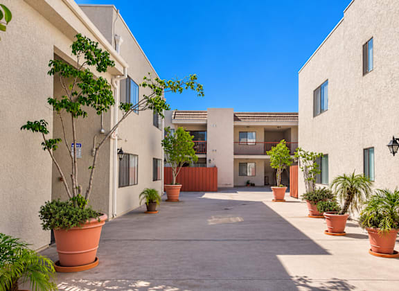 A courtyard with potted plants and a building in the background.