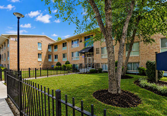 A tree in a mulched area in front of a building.
