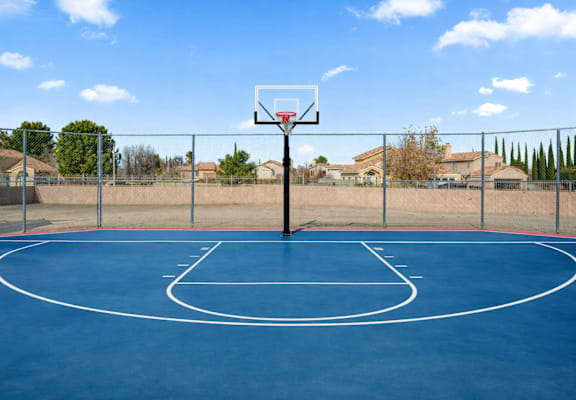 A basketball court with a hoop and a blue surface.