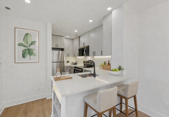 A kitchen with a white countertop and a framed leaf picture on the wall.