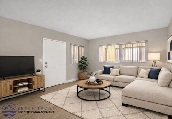 A living room with a television, a sofa, a coffee table, and a rug.