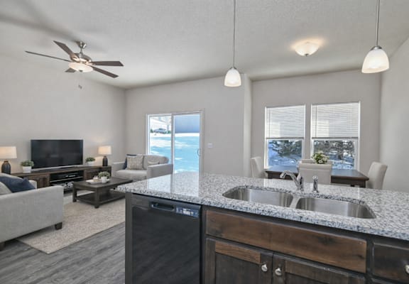 A modern kitchen with a dark countertop and a stainless steel dishwasher.