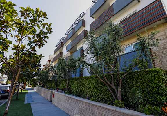 a row of apartment buildings with a sidewalk and trees in front of them