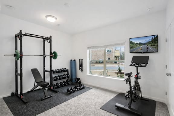 A home gym with a squat rack, bench, dumbbells, and a TV.