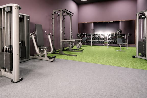 A gym with purple walls and a variety of equipment.