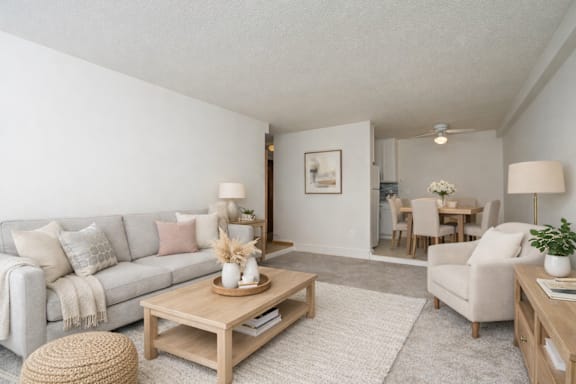 A living room with a grey couch, a wooden coffee table, and a white rug.