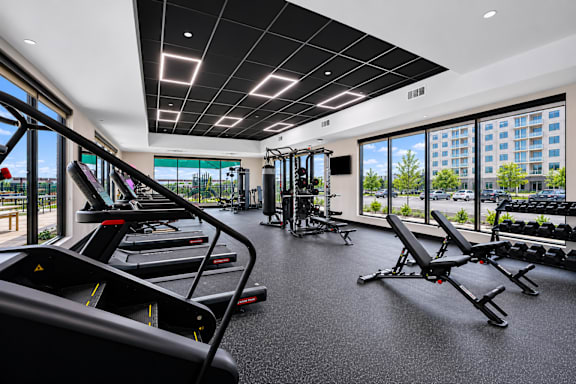 A gym with treadmills, weights, and exercise equipment.
