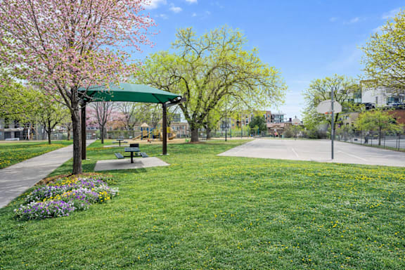 A park with a green canopy, a basketball court, and a bench.