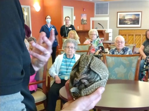 Elison Assisted Living of Minot Animal Visit