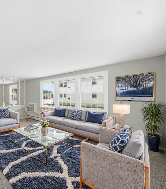 A living room with a grey couch, a blue and white rug, and a television.