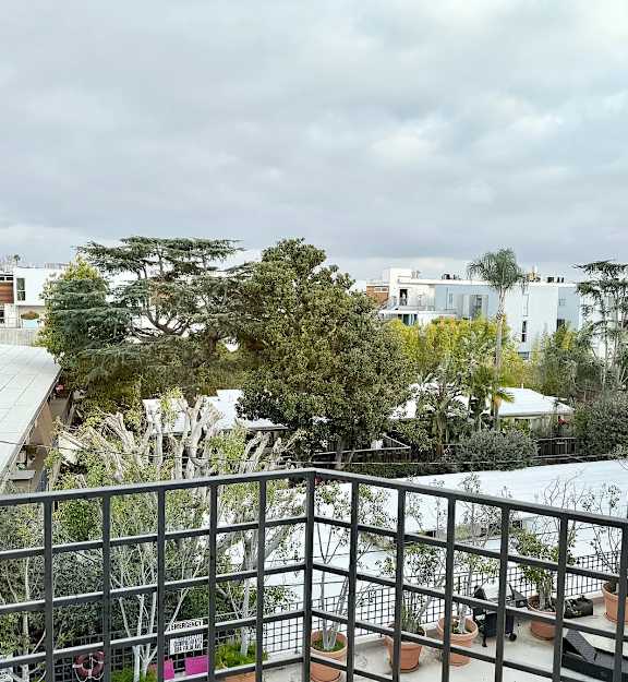 A balcony with a metal railing overlooks a courtyard with potted plants and trees.
