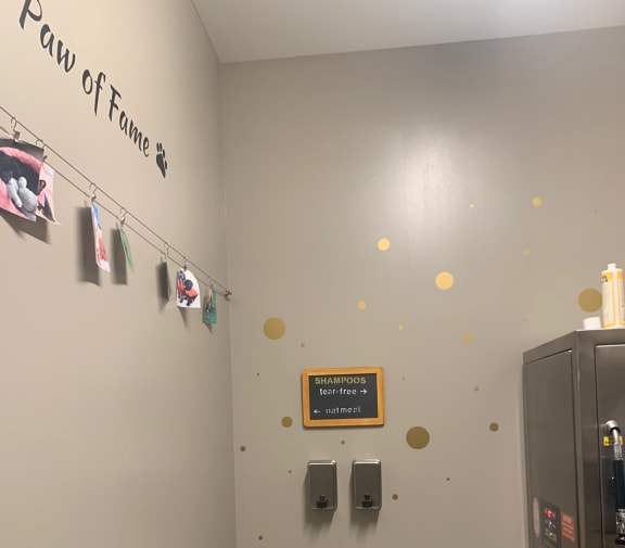 Pet Friendly  at The Grand, Kansas City, MO, 64106
