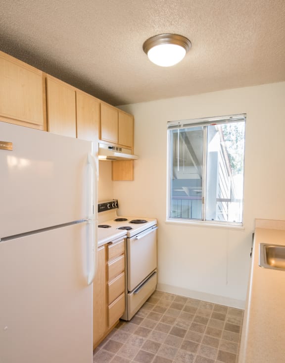 Todd Village updated vacant kitchen and appliances