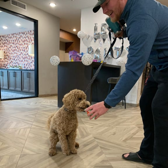 a man is petting a small brown dog at Vue at Bluestone, Duluth, MN