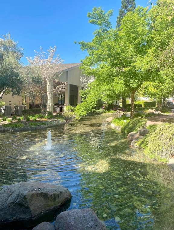 A pond with a fountain in the middle of it.