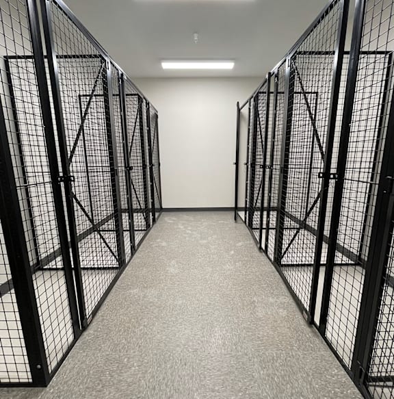 A long hallway with black fencing on both sides.