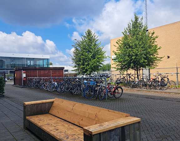 A wooden bench sits in front of a row of bicycles.