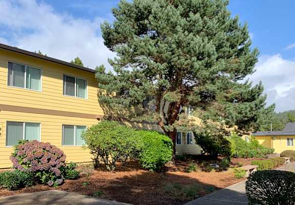 A large tree in front of a yellow house.